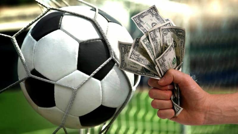 Những lý do bạn nên cá cược tại Mibet