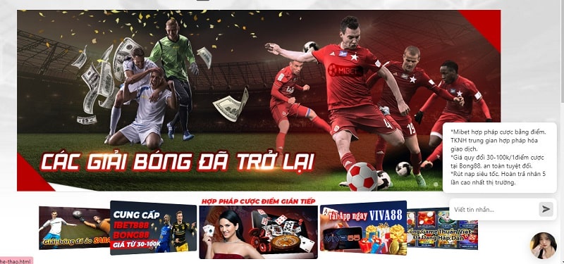 Lý do nên tham gia cá cược thể thao tại Mibet